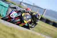 anglesey-no-limits-trackday;anglesey-photographs;anglesey-trackday-photographs;enduro-digital-images;event-digital-images;eventdigitalimages;no-limits-trackdays;peter-wileman-photography;racing-digital-images;trac-mon;trackday-digital-images;trackday-photos;ty-croes